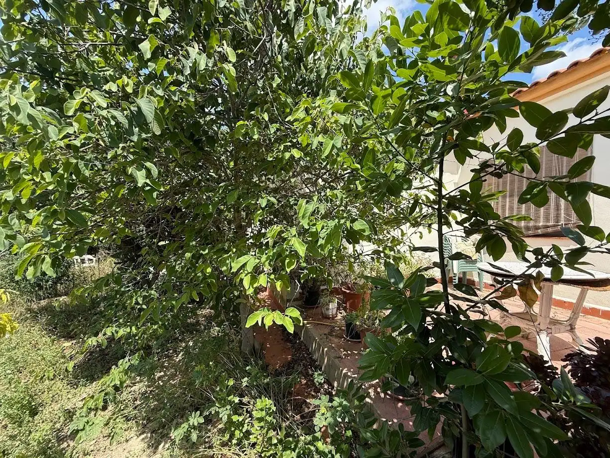Detached house with pool for sale in Montserrat, imagen 58