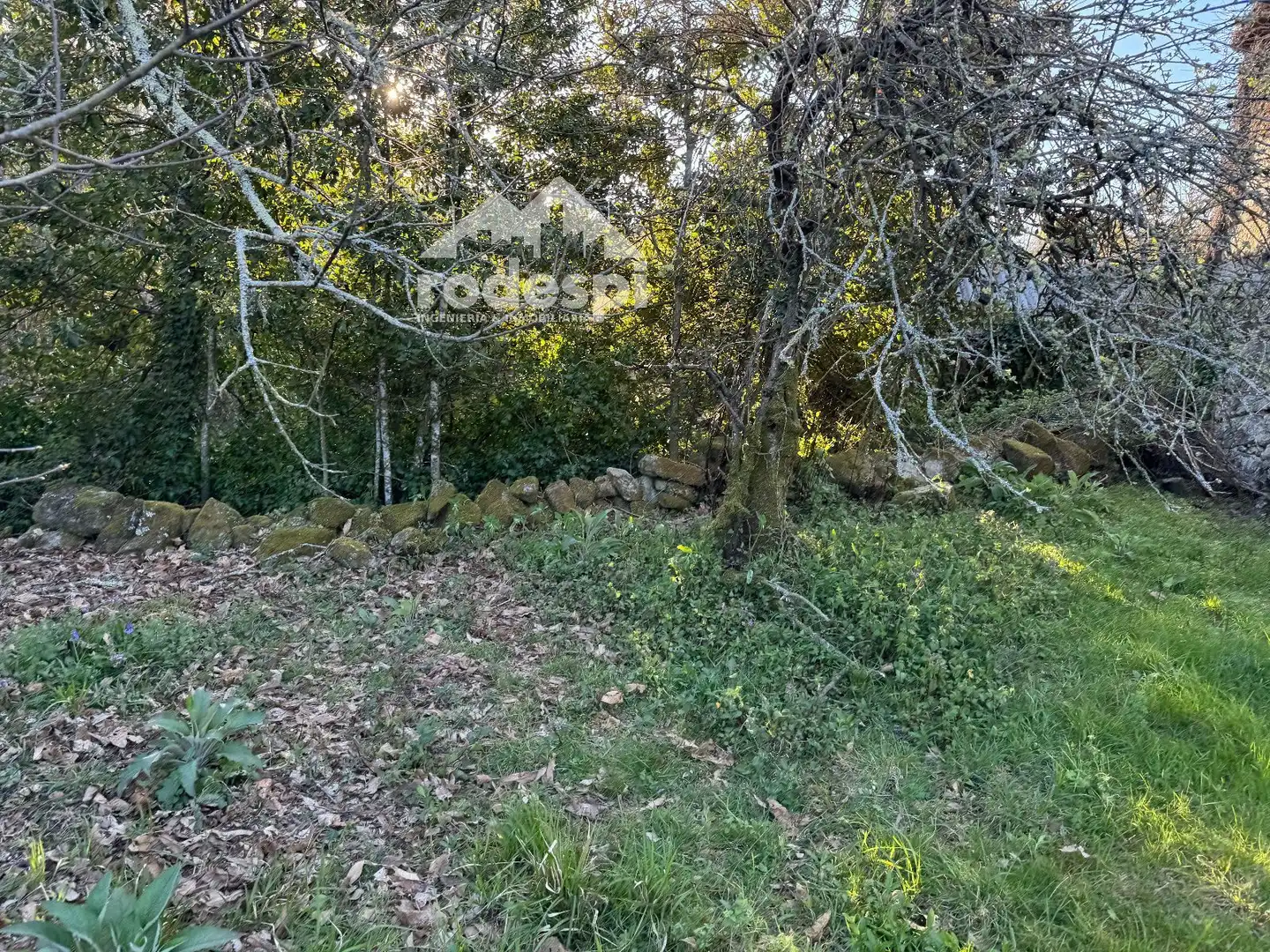 Maison à vendre à A Cañiza, imagen 6