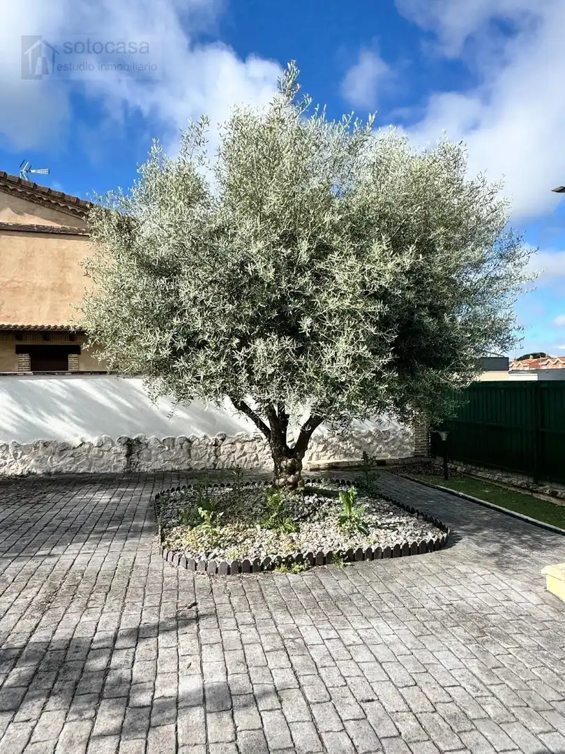 Chalet en venta en CARRAPORTILLO, imagen 46
