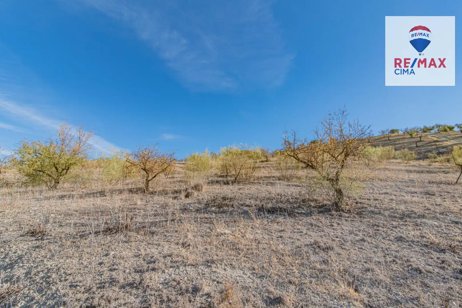 Terreno en venta en Santa Cruz del Comercio