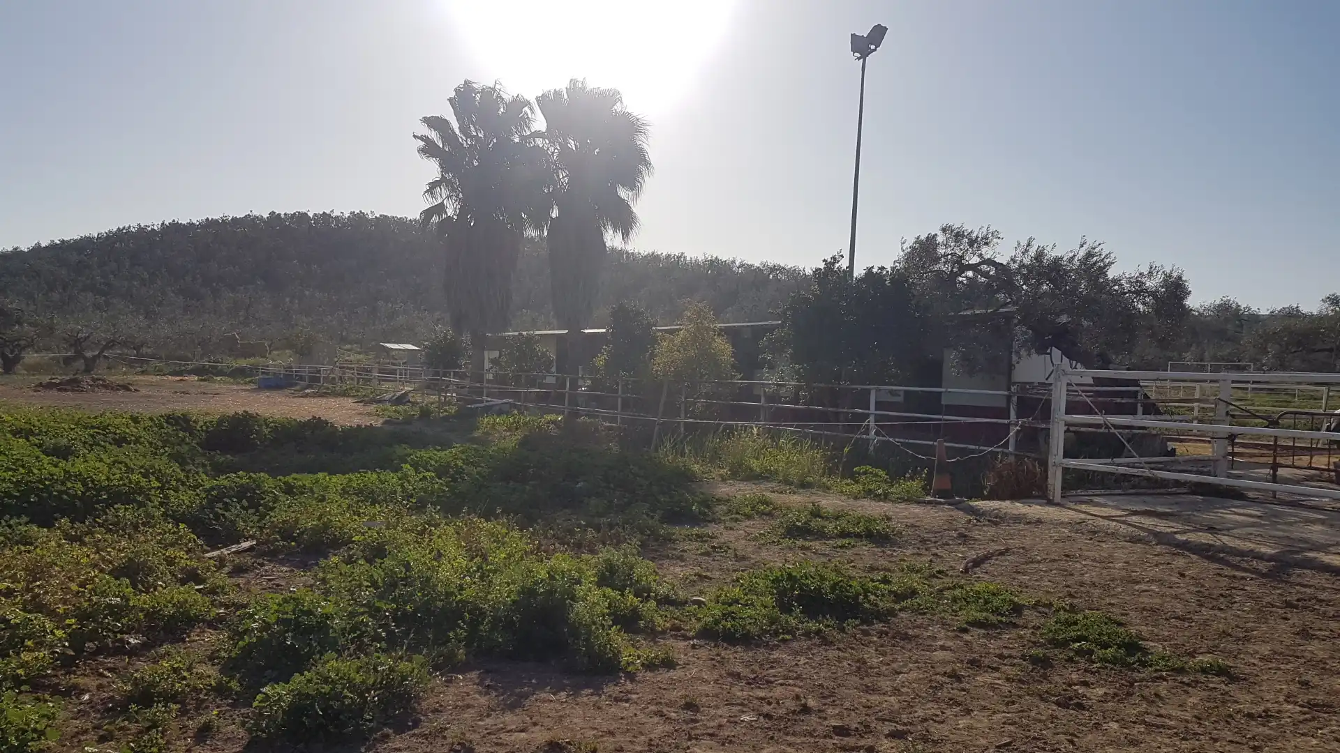 Terreni e lotti in vendita a Sanlúcar la Mayor, imagen 26