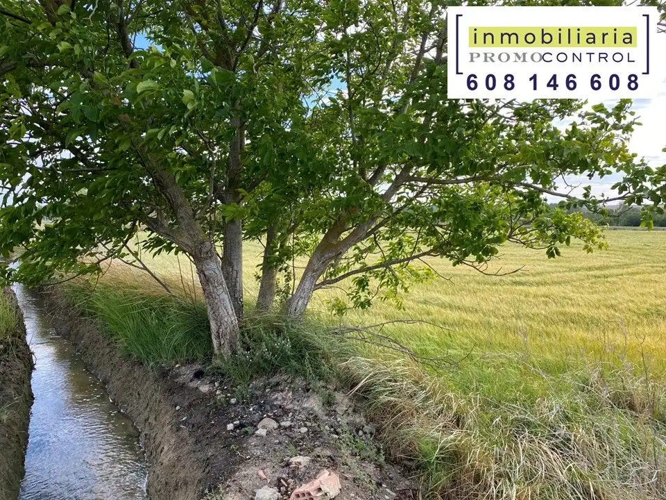Terreny rústic en venda a San Mateo de Gállego, imagen 15