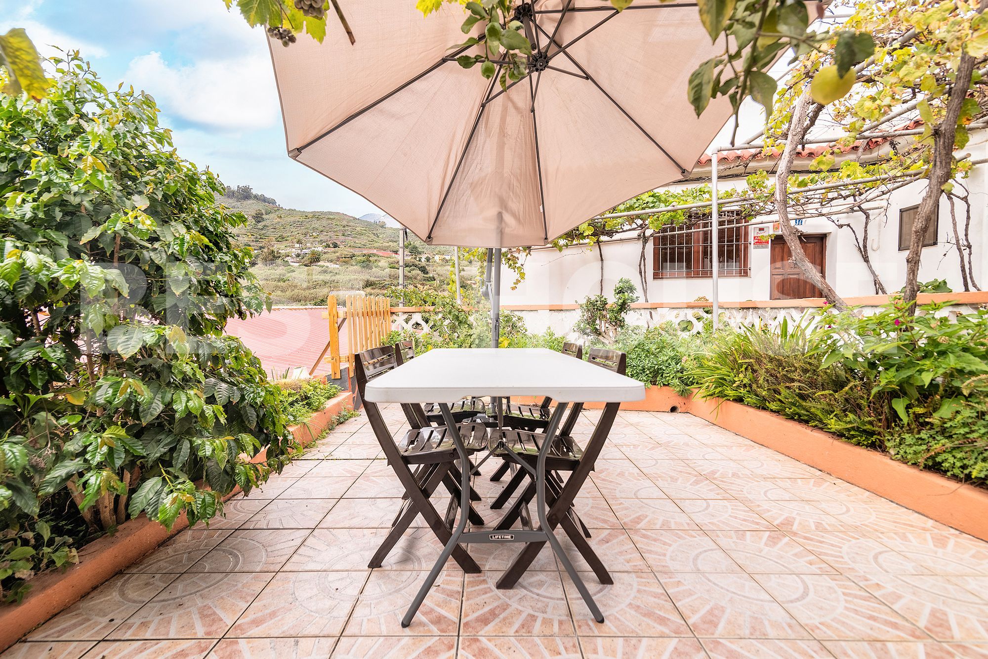 Jardí de Casa o xalet en venda en Teror amb Jardí privat i Terrassa