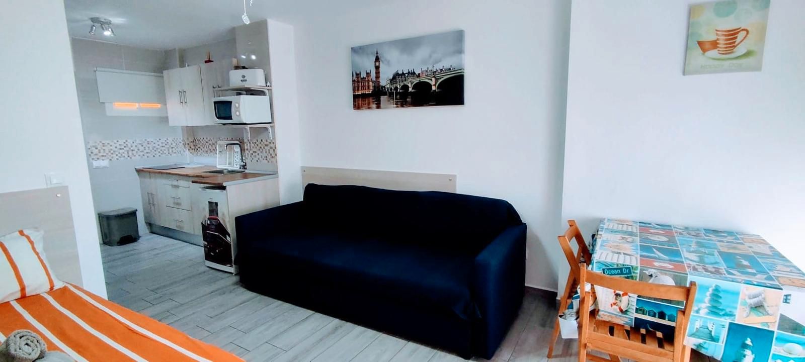 Sala d'estar de Estudi en venda en Benalmádena amb Aire condicionat, Terrassa i Moblat