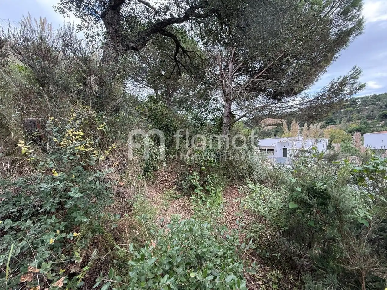 Terrenos y solares en venta en Carrer Pluto, imagen 5