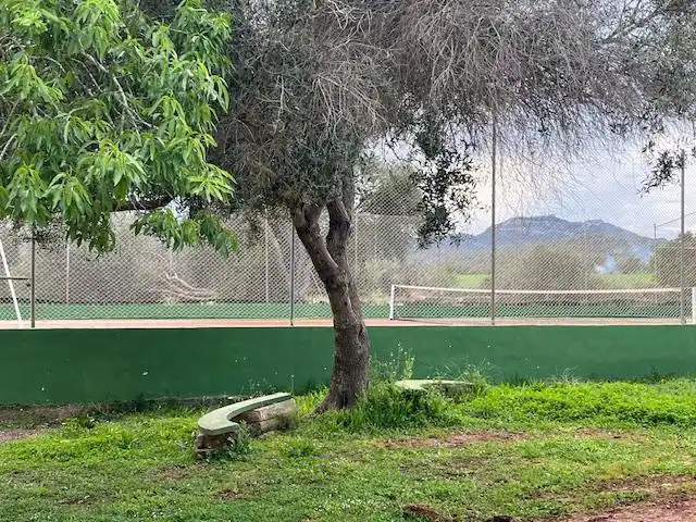 Casa rústica amb piscina en venda a Manacor Centre, imagen 15
