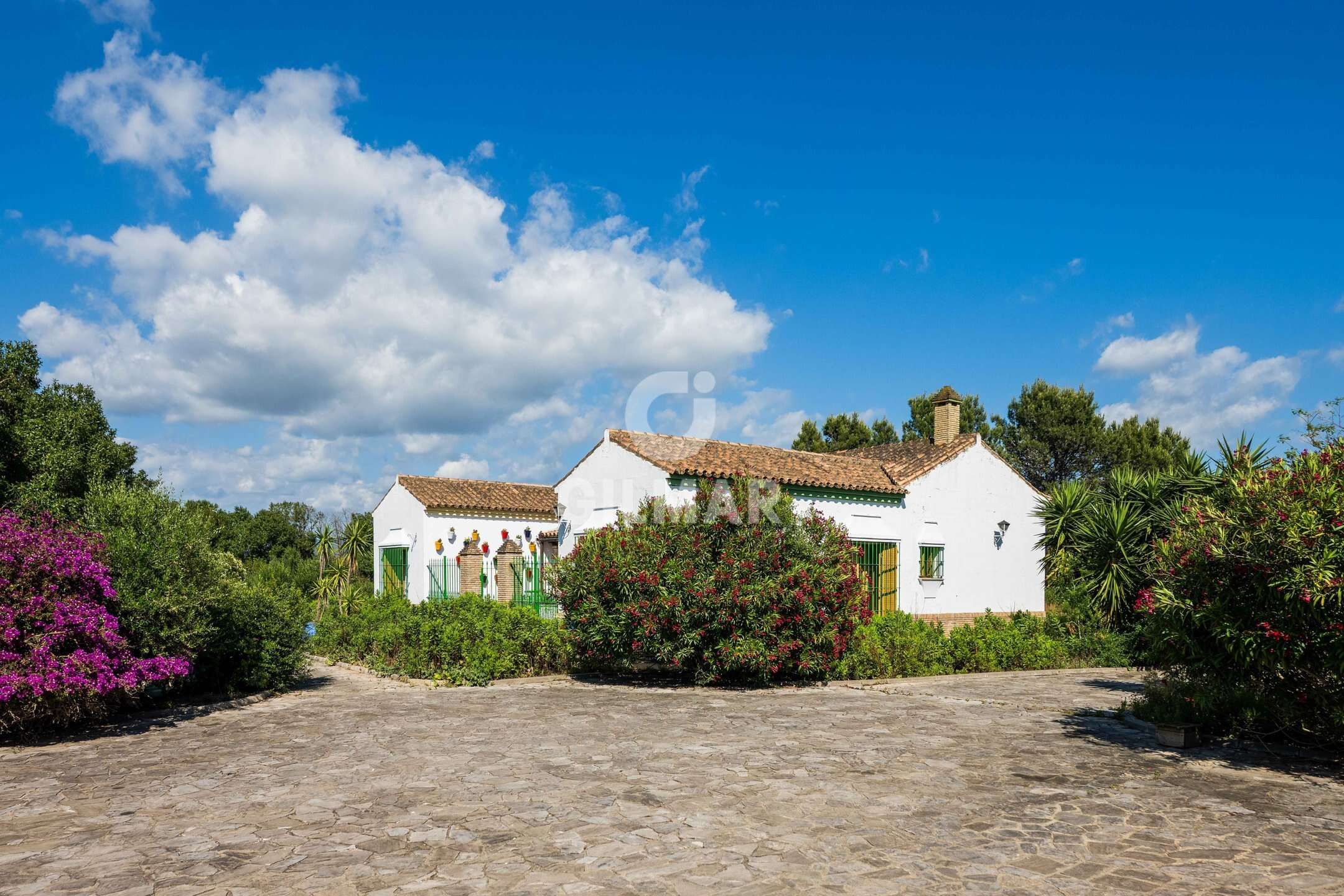 Vista exterior de Casa o xalet en venda en Medina Sidonia amb Jardí privat i Piscina