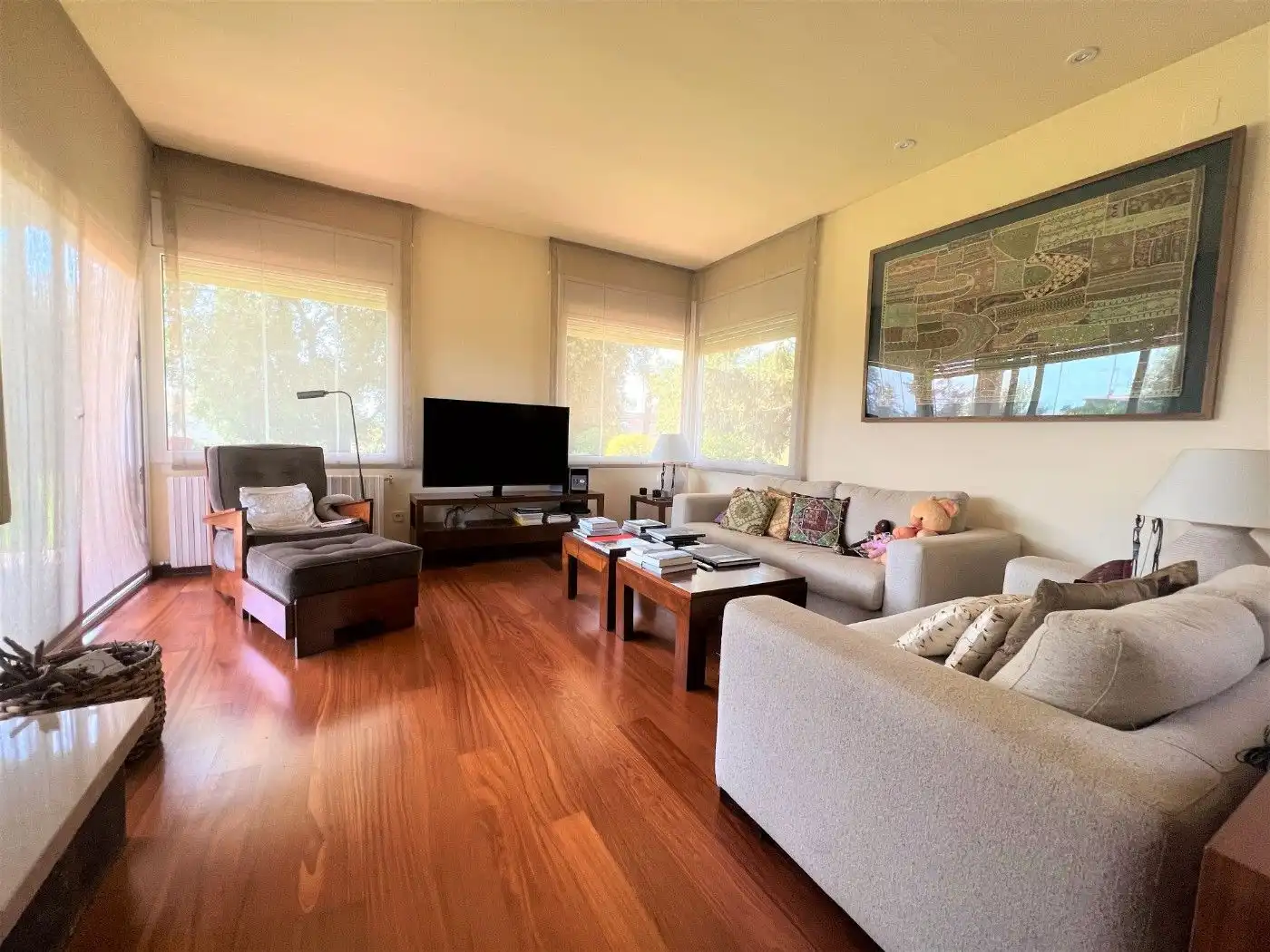 Sala d'estar de Casa o xalet en venda en Canovelles amb Aire condicionat, Calefacció i Jardí privat