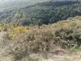 Land for sale in Aisa