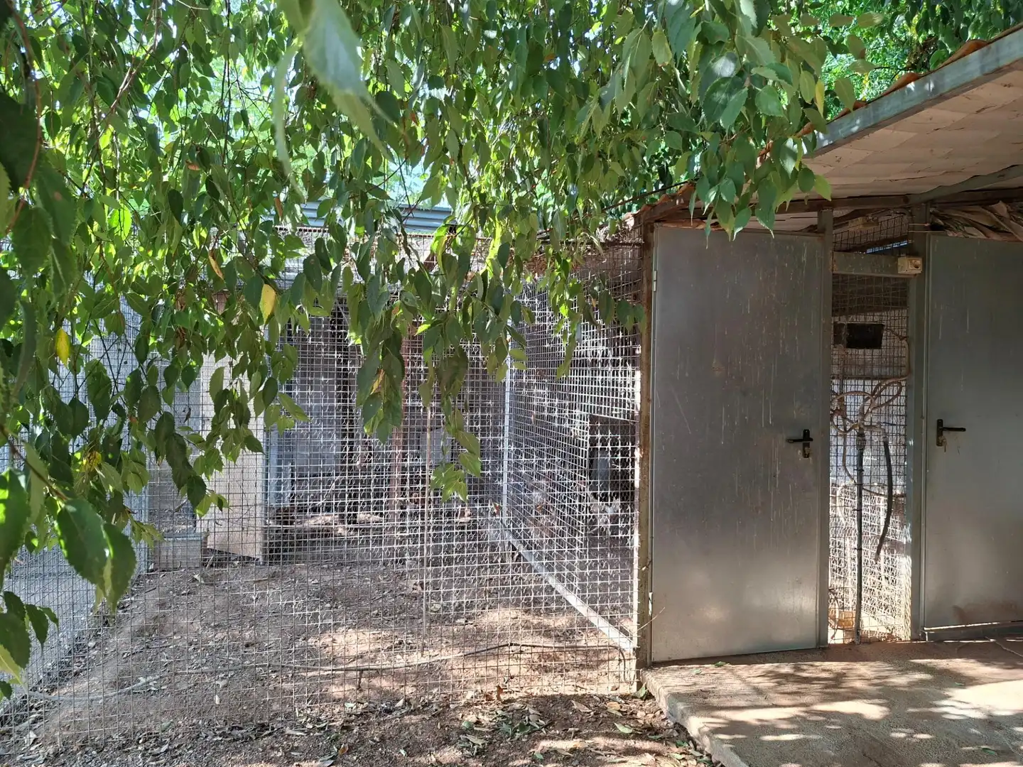 Villa avec piscine à vendre à Calle GENARD BARTROLI, imagen 53