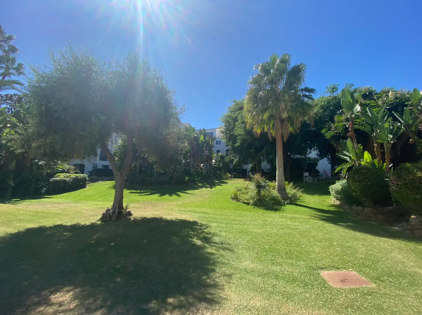 Jardí de Apartament de lloguer en Marbella amb Aire condicionat, Terrassa i Piscina