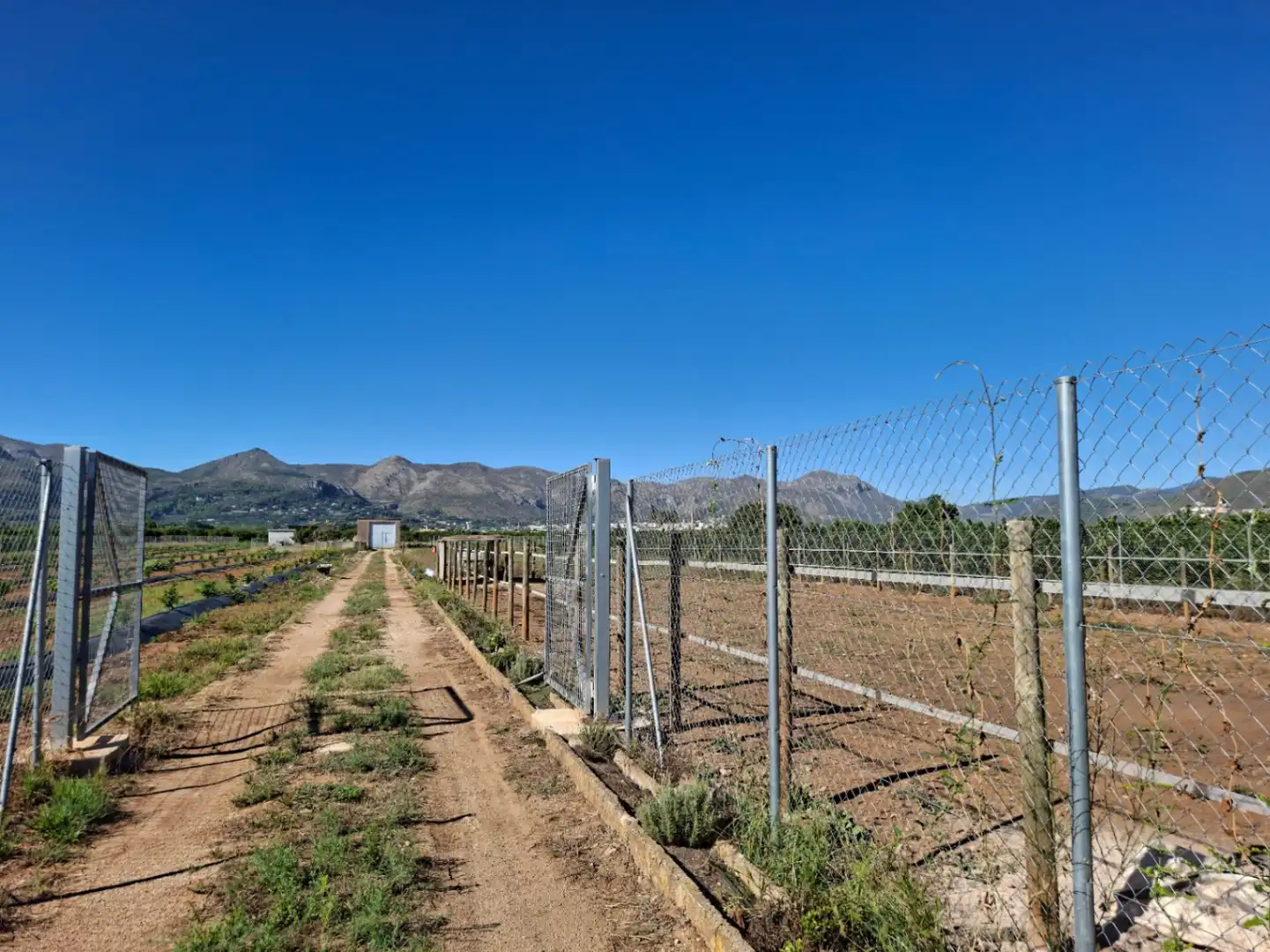 Terreny residencial en venda a Pego, imagen 3