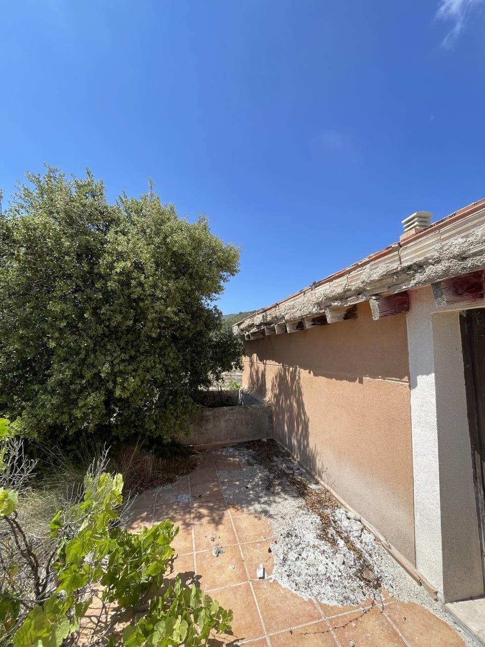 Jardí de Casa o xalet en venda en Relleu amb Jardí privat i Terrassa