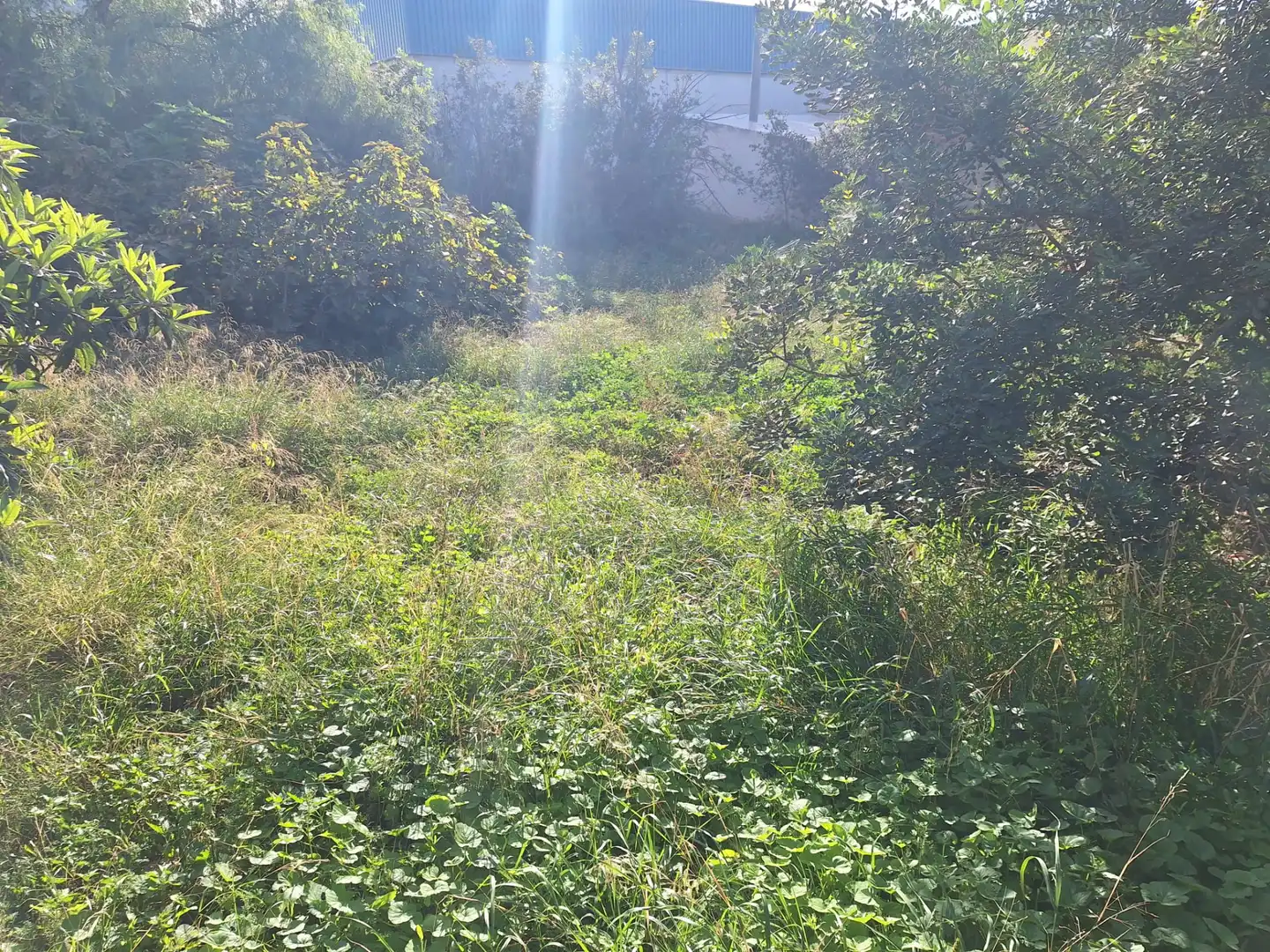 Casa o chalet en venta en San Vicente del Raspeig / Sant Vicent del Raspeig con Jardín privado, Terraza y Trastero
