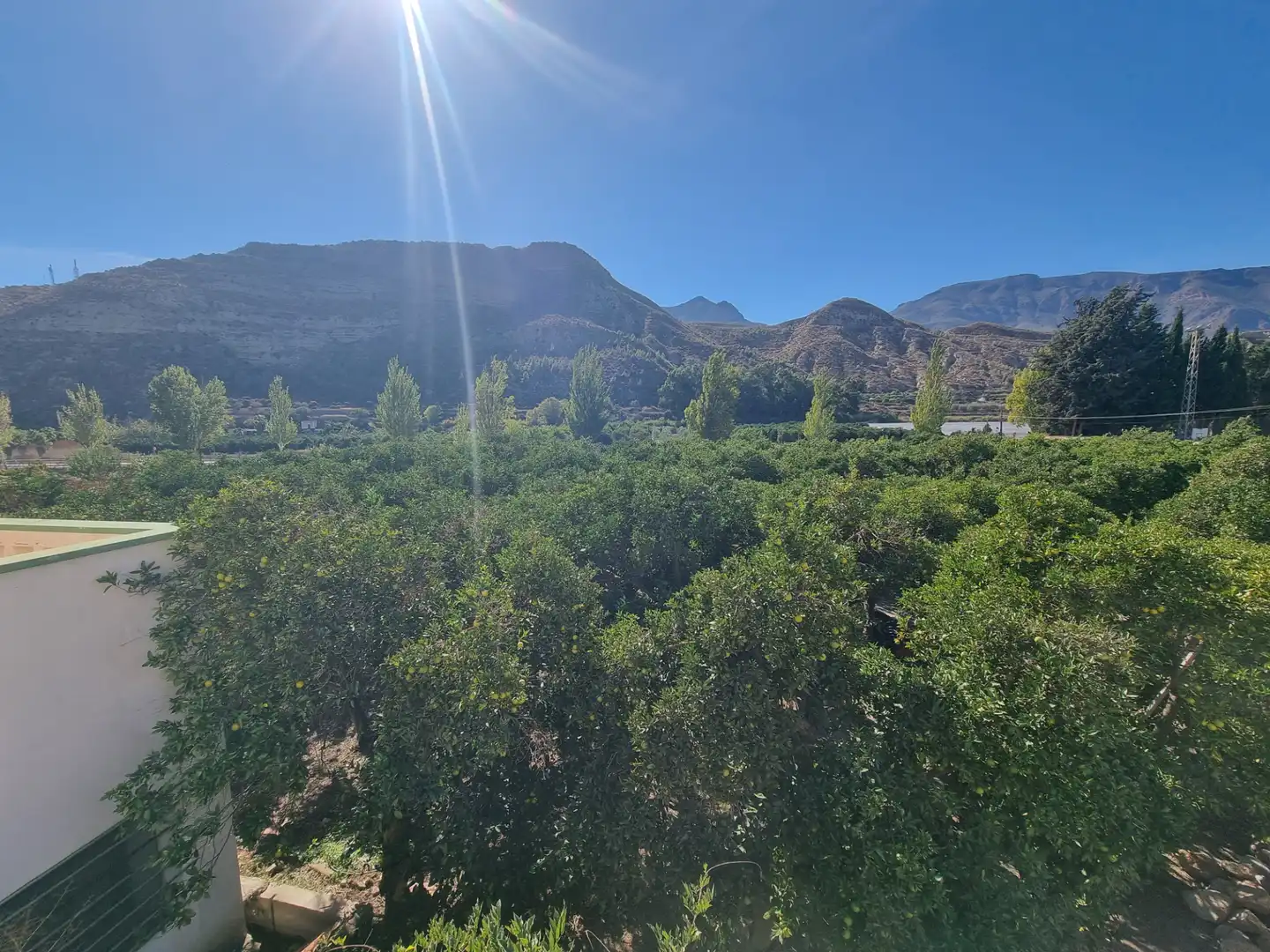 Vista exterior de Casa o xalet en venda en Terque