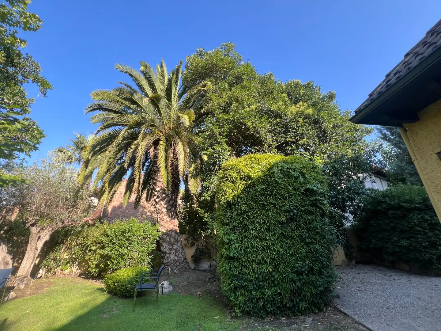 Jardí de Casa o xalet per a compartir en Madrid amb Aire condicionat, Calefacció i Jardí privat