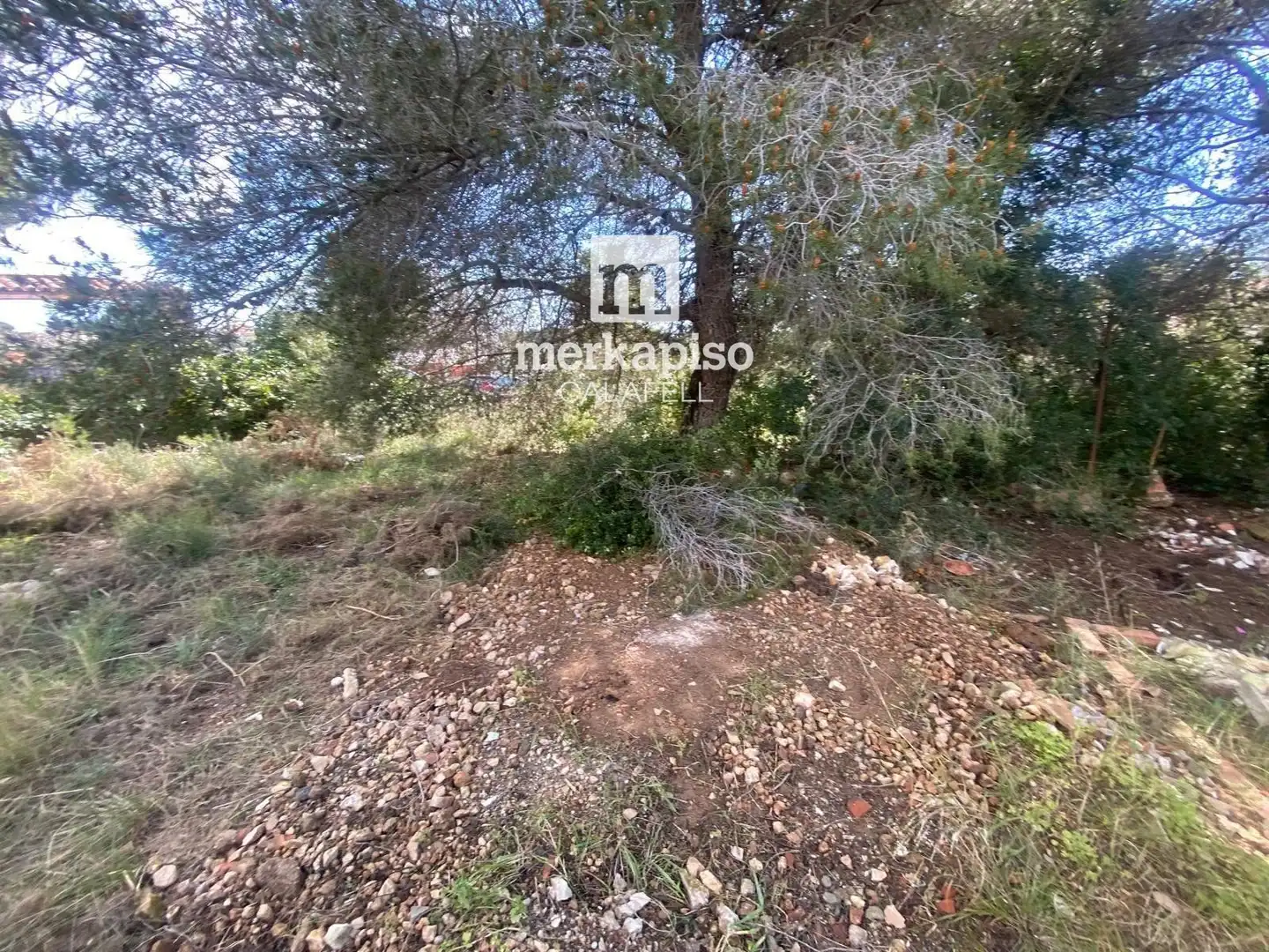 Terreny rústic en venda a Valldemar - Montmar, imagen 21