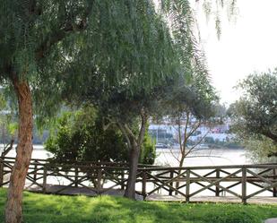Garden of Country house for sale in Sanlúcar de Guadiana  with Air Conditioner and Heating