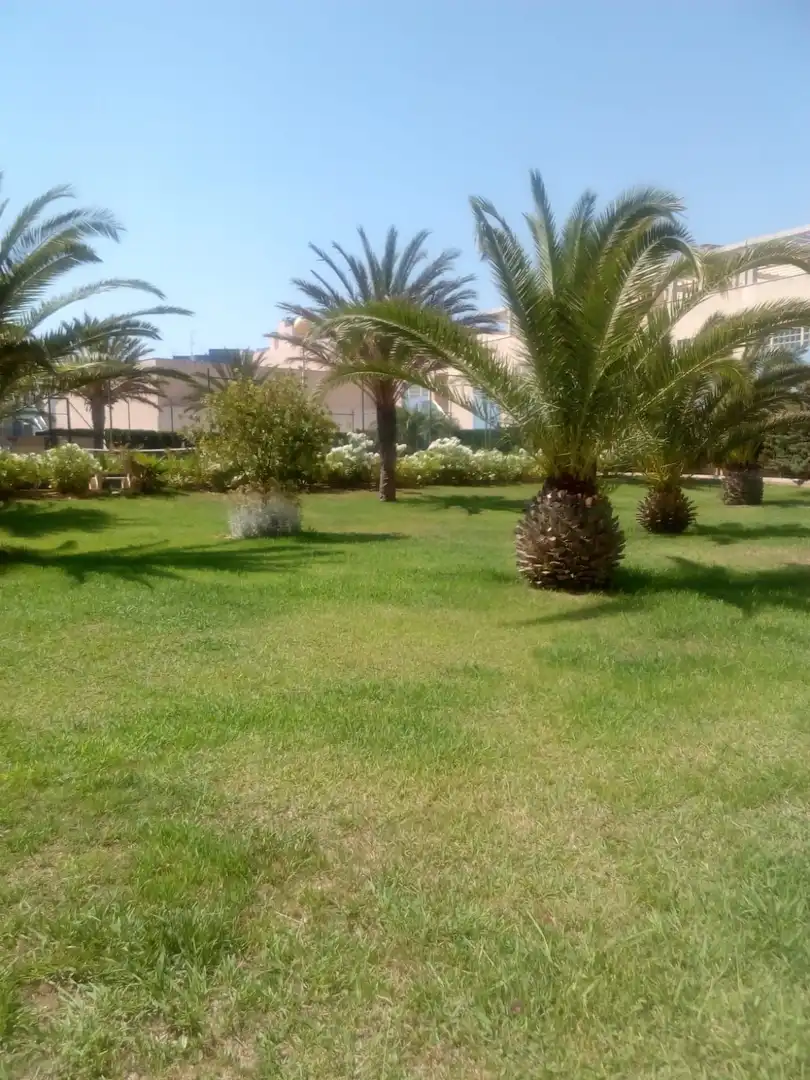 Apartament amb terrassa de lloguer a Urbanización Puerto Latino I, imagen 9