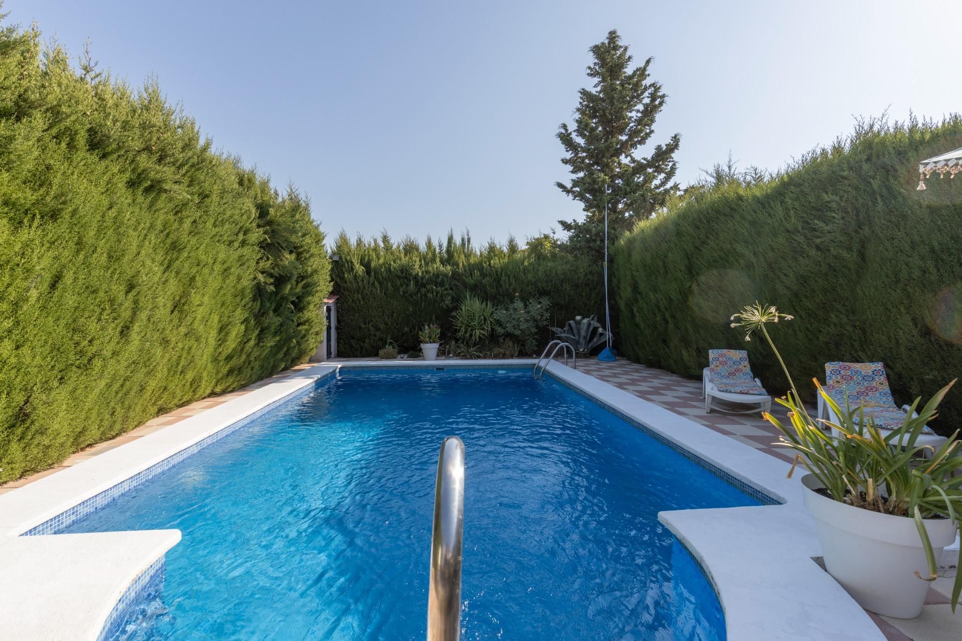 Swimming pool of House or chalet for sale in Cúllar Vega  with Private garden, Terrace and Swimming Pool