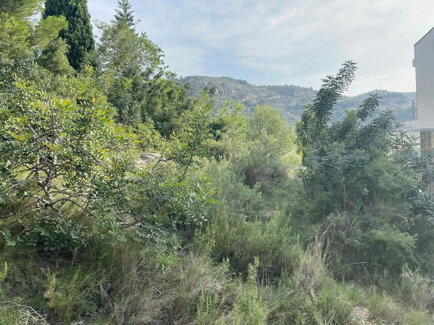Residential for sale in Castellón de la Plana / Castelló de la Plana