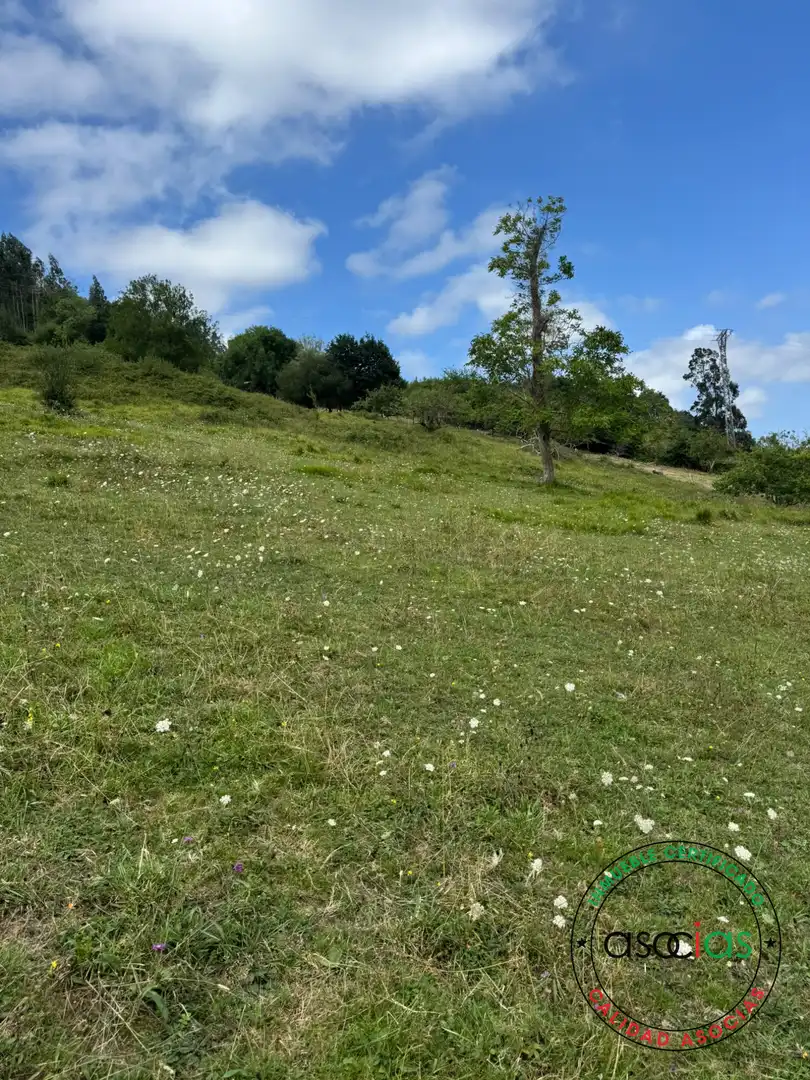 Terreny en venda en Villaviciosa