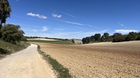 Finca en Padul, immagine 5