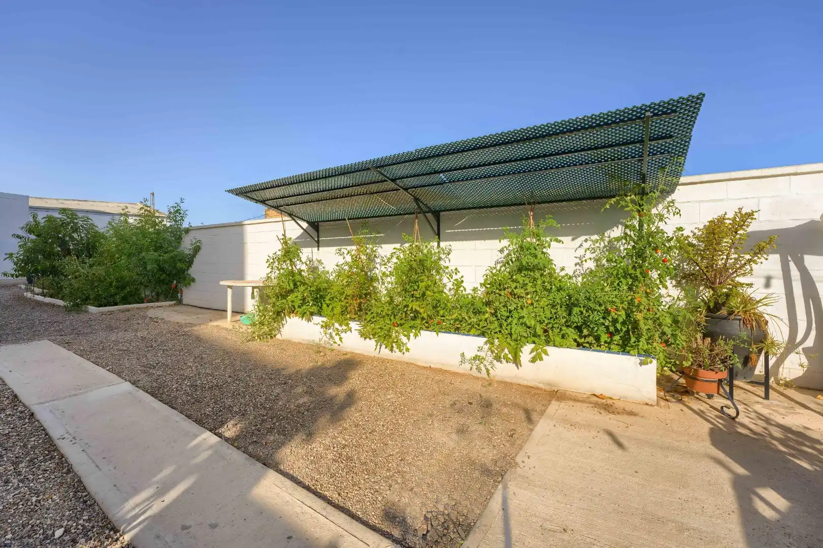 Vista exterior de Casa o xalet en venda en Carrión de los Céspedes
