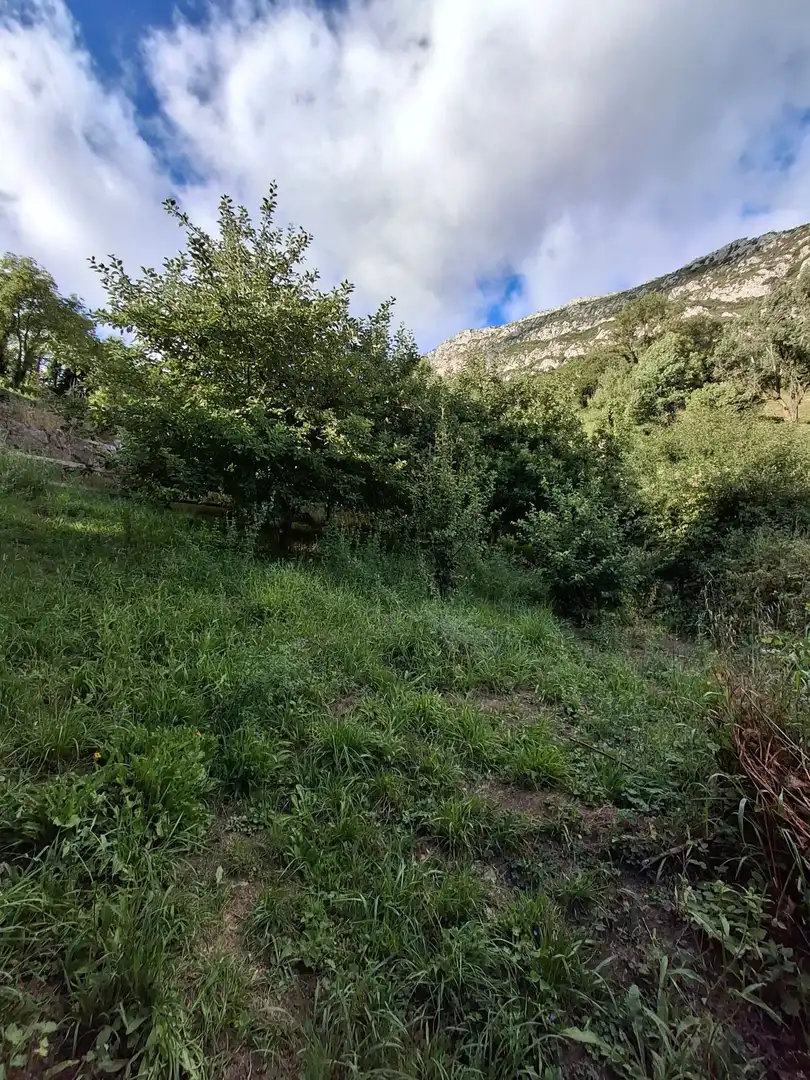 Casa o xalet en venda en Quirós amb Jardí privat, Terrassa i Balcó