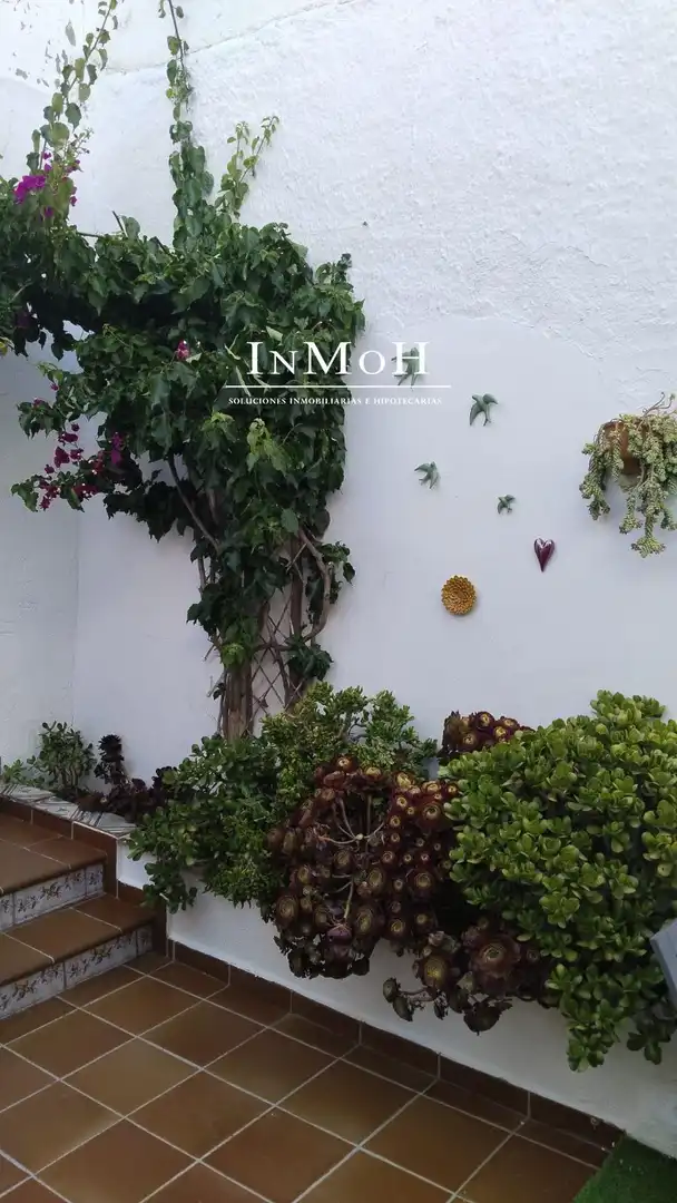 Jardín de Casa o chalet en venta en Algar con Aire acondicionado, Calefacción y Amueblado