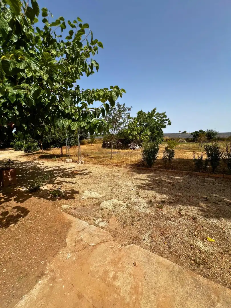 Casa o xalet en venda en Alfarrasí