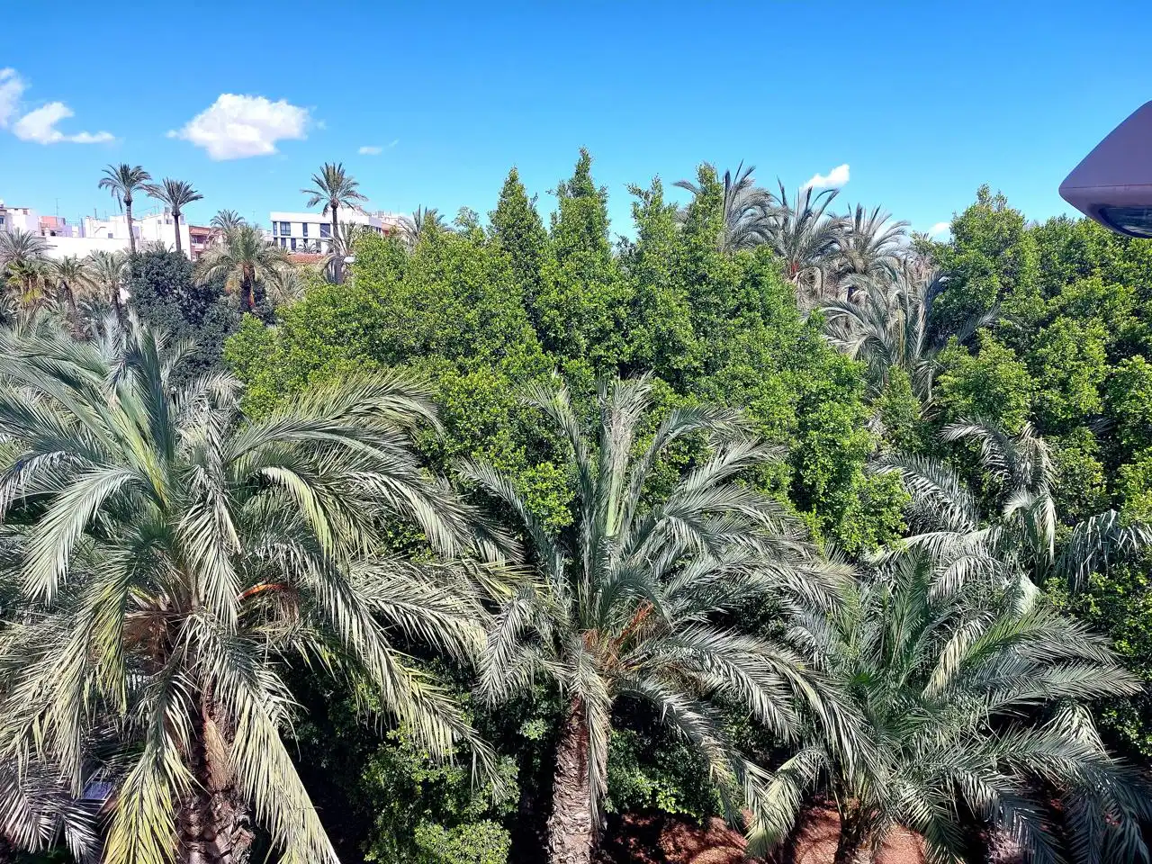 Penthouse mit Aufzug zur Miete in Elche ciudad, imagen 36