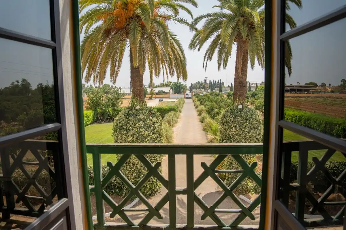 Jardí de Casa o xalet en venda en Espartinas amb Calefacció, Jardí privat i Terrassa