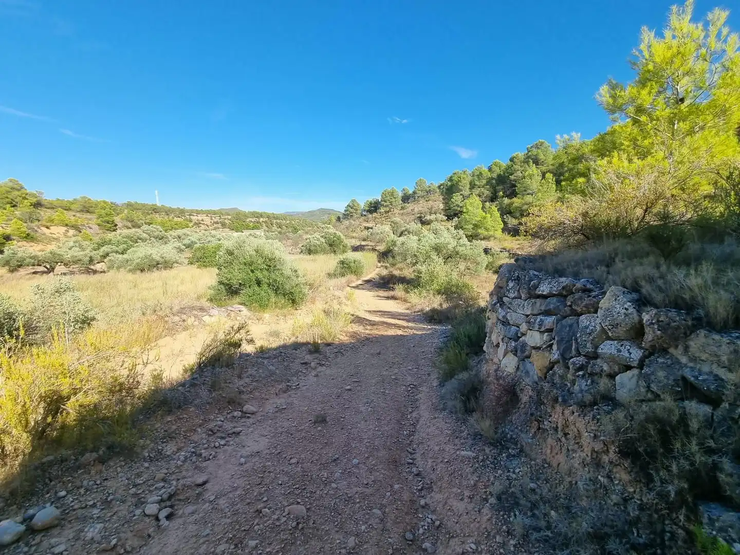 Lands and plots for sale in poligono 7 parcela 274, imagen 6