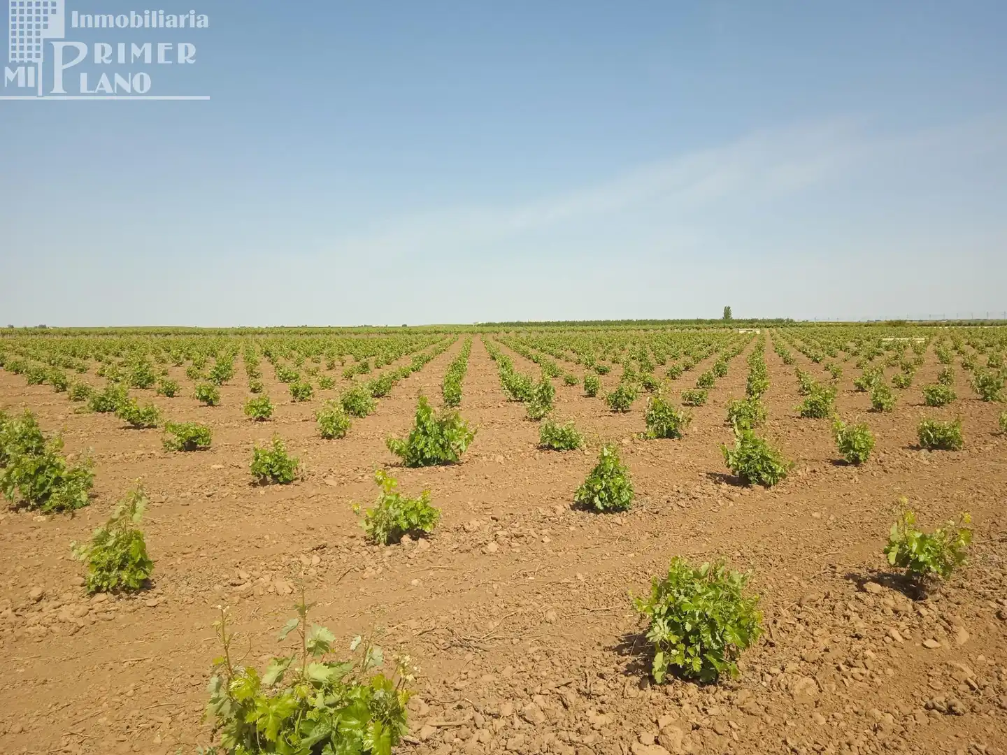Terrenos y solares en venta en Socuéllamos, imagen 2