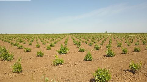 Photo 2 of Residential for sale in Socuéllamos, Ciudad Real