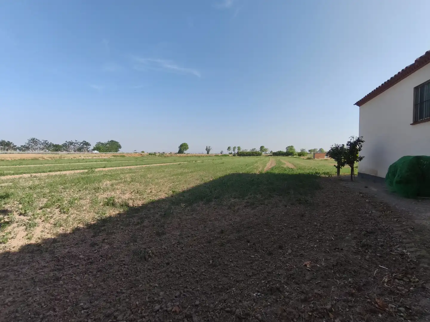 Finca rústica en venda en Anglesola amb Calefacció, Jardí privat i Alarma