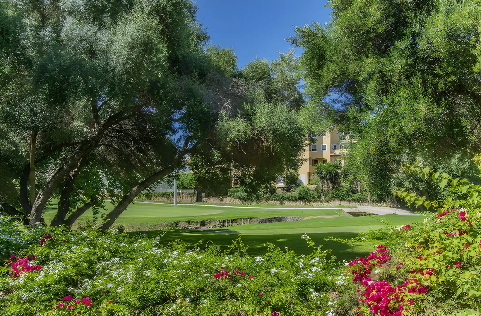 Apartament amb piscina en venda a San Pedro de Alcántara, imagen 12