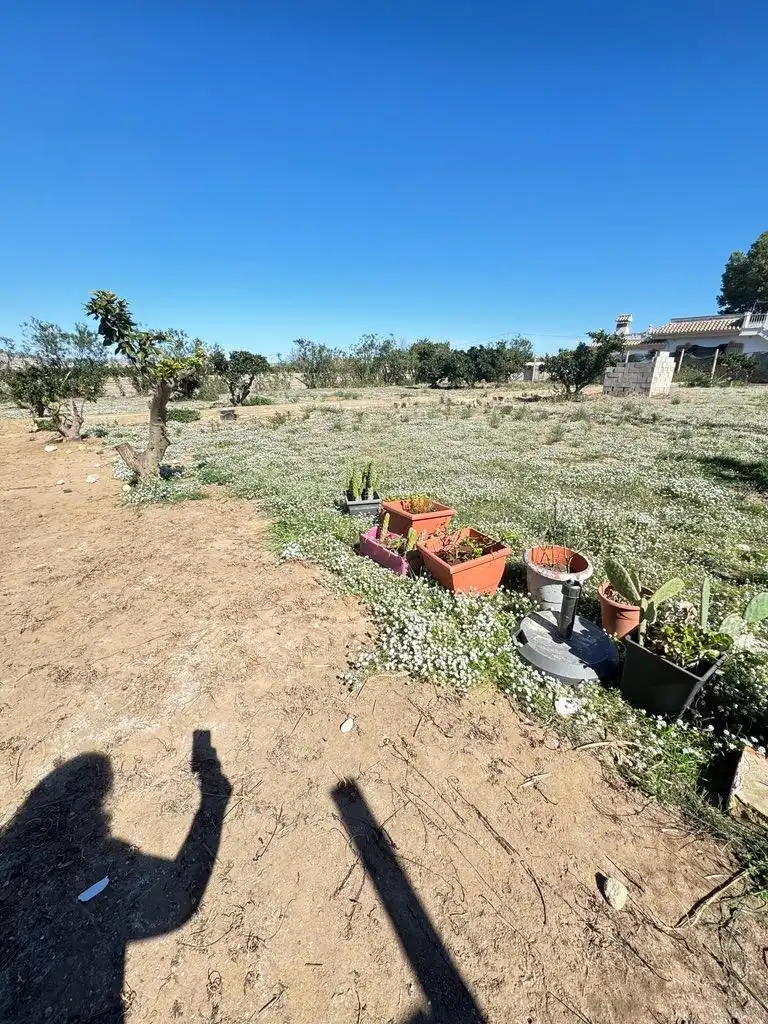 Finca rústica en venta en Cullera