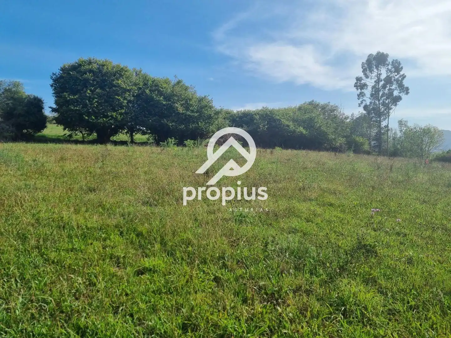 Rural land for sale in Arenas, imagen 4
