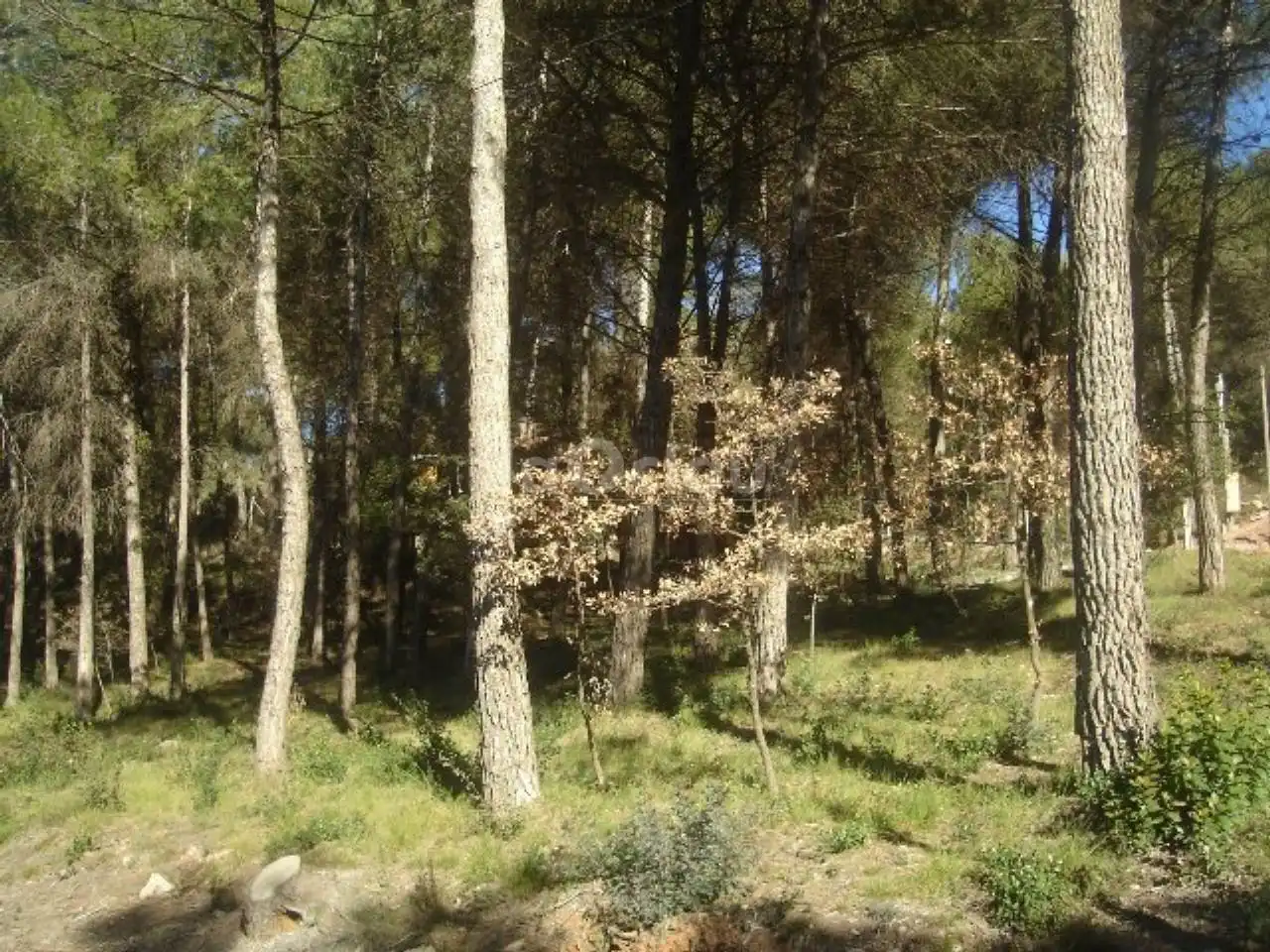 Terreno residencial en venta en Aiguafreda