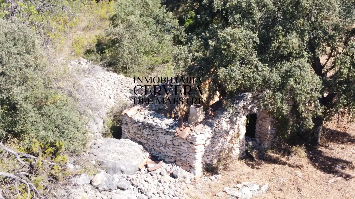 Terreno rustico in vendita a Cervera del Maestre, imagen 8