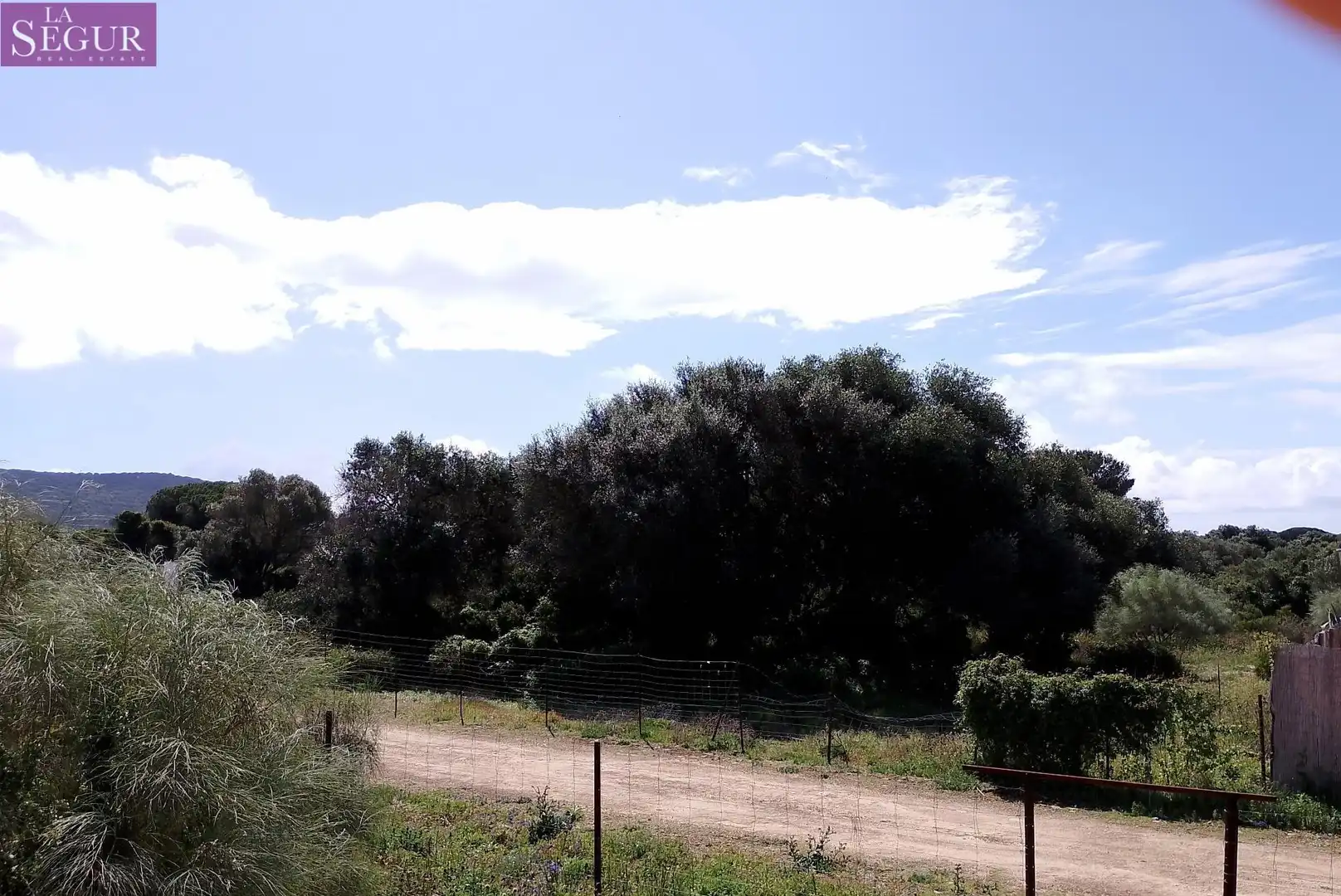 Terreno rustico in vendita a Barbate ciudad, imagen 2