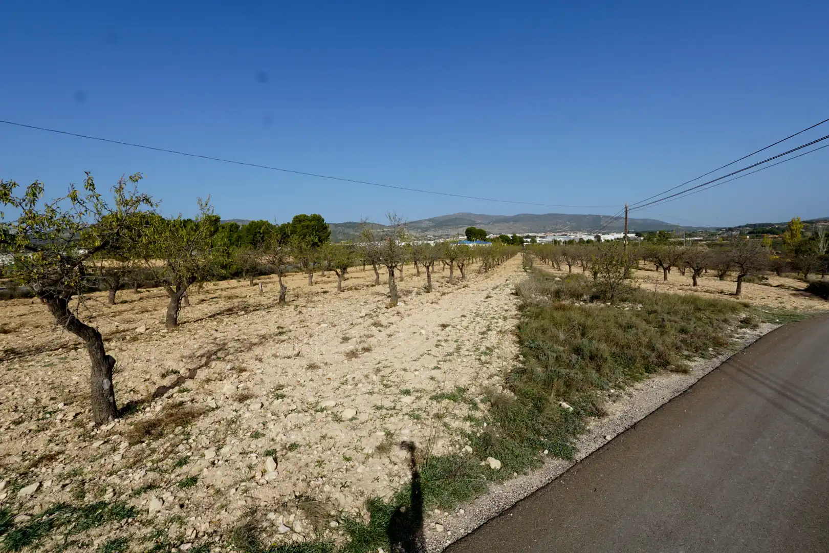 Terreno rústico en venta en Partida Alfas 41, imagen 12
