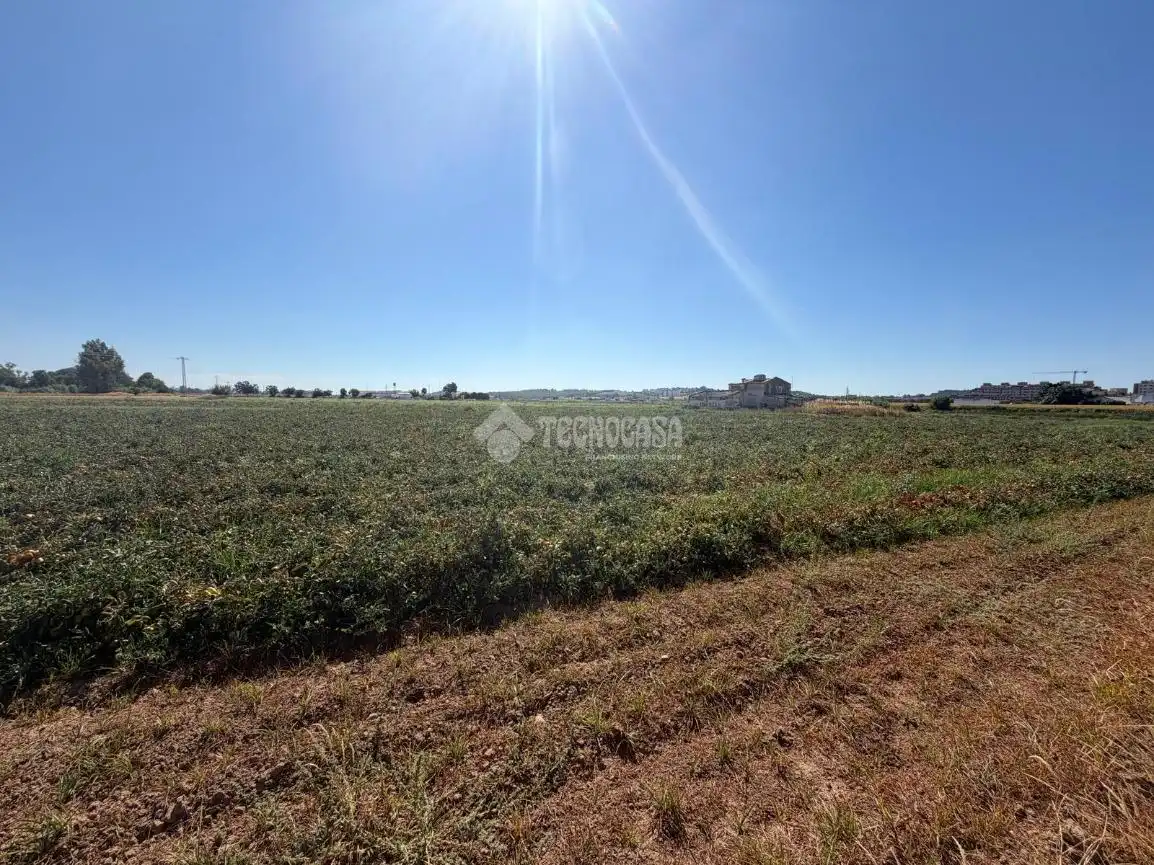 Casa rústica en venda a San Roque - Ronda Norte, imagen 22