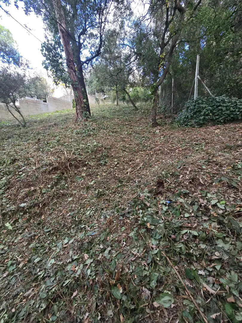 Terreno residencial en venta en Passeig d'Egara 2, imagen 10