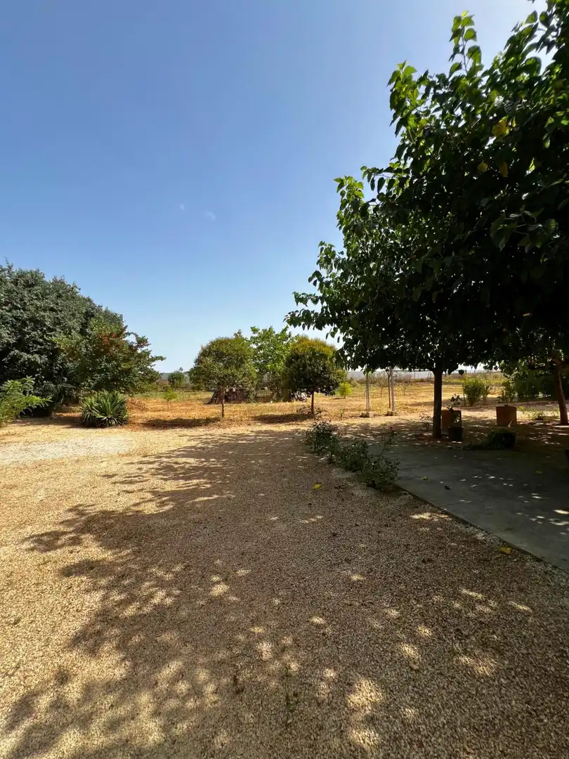 Casa o xalet en venda en Alfarrasí