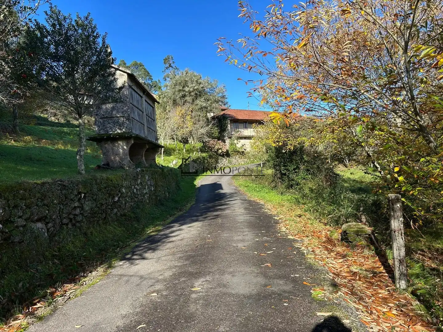 Vista exterior de Casa o xalet en venda en Cerdedo amb Jardí privat