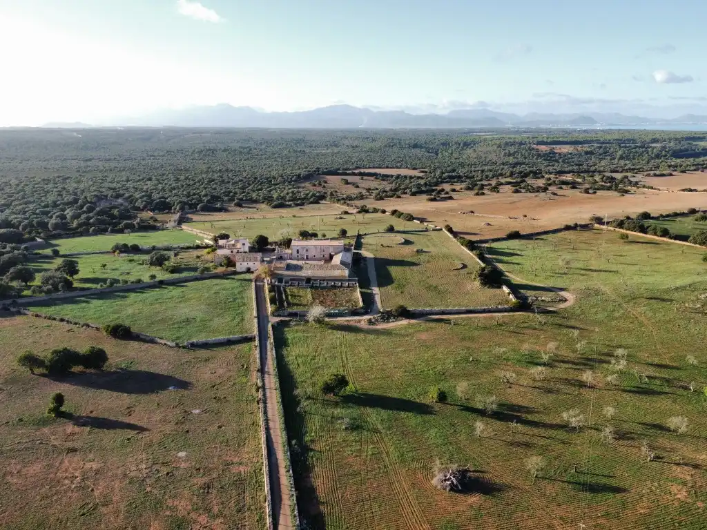 Finca rústica en venta en Santa Margalida