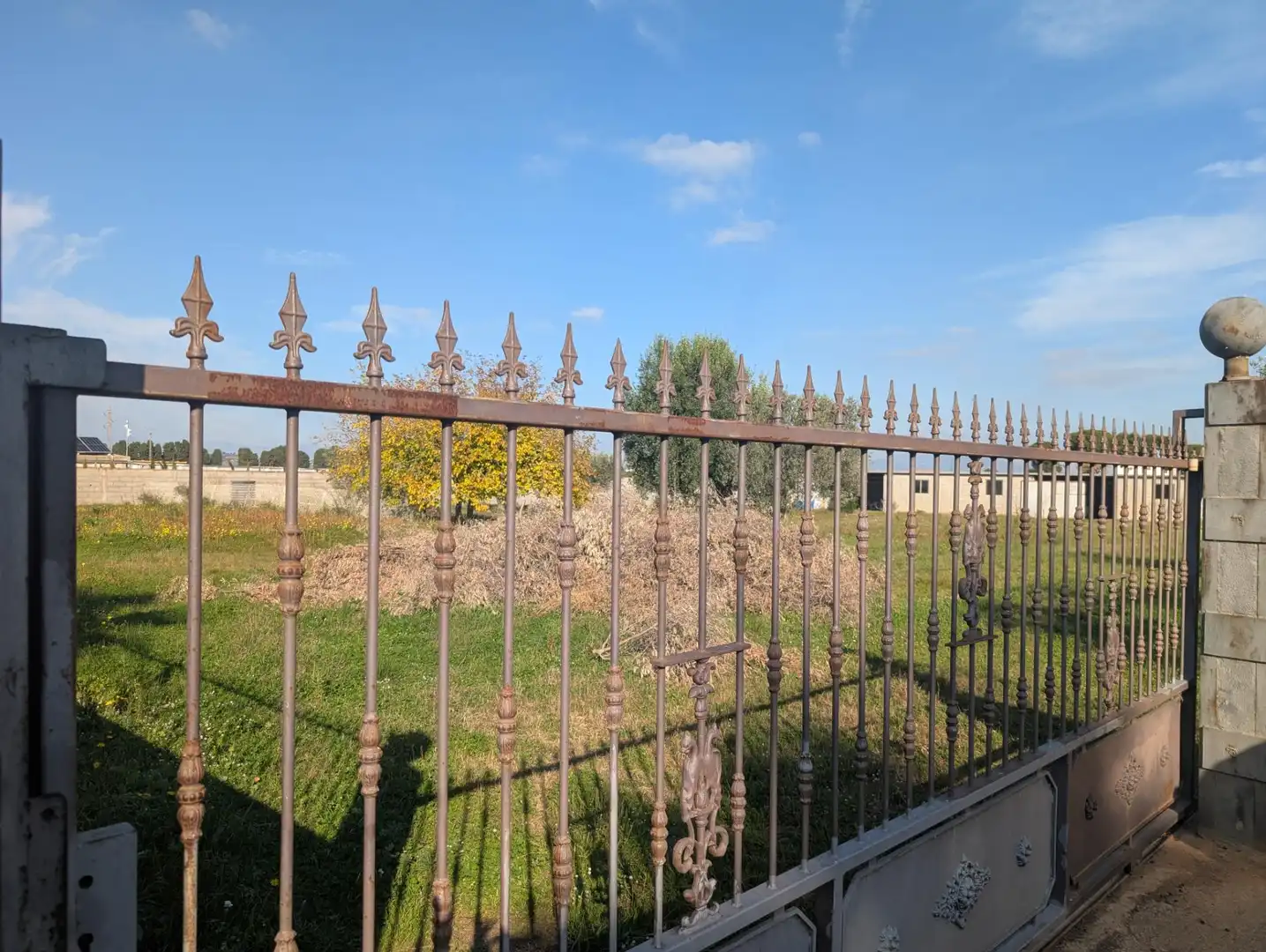 Terreno rustico in vendita a Partidas de interior - Zona Rústica, imagen 15